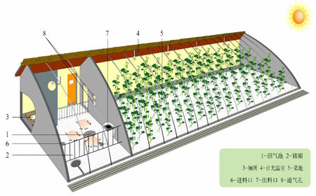 “豬-沼-果”等“三結(jié)合”生態(tài)農(nóng)業(yè)模式 - 富硒幫 - 富硒幫物理農(nóng)業(yè)博客