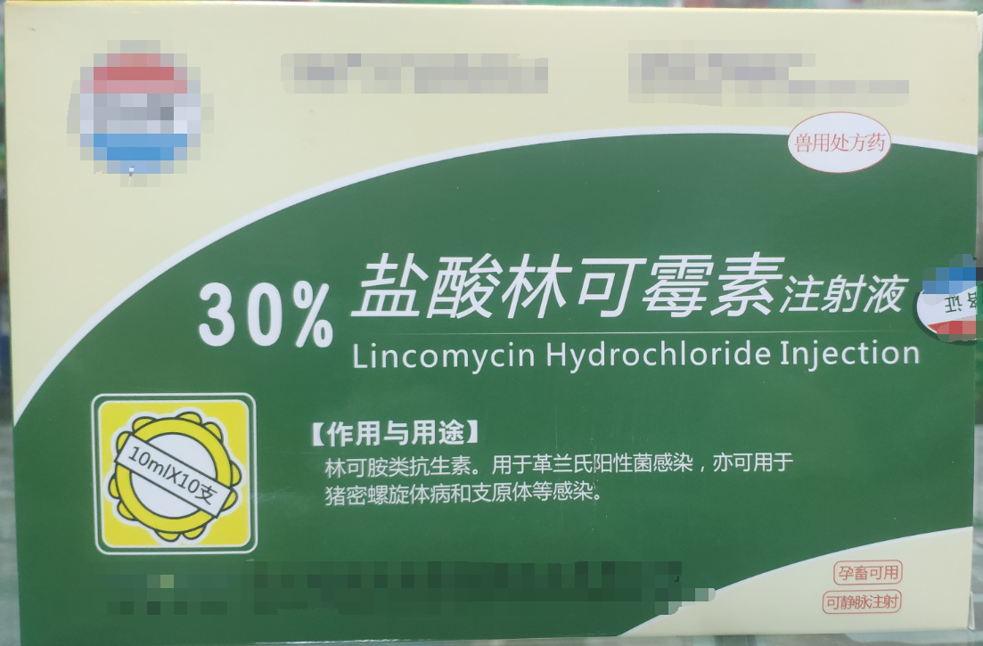 30%林可霉素注射液，用于革蘭氏陽性菌感染，亦用于母蓄的產(chǎn)后消炎，亦可用于豬密螺旋體和支原體感染