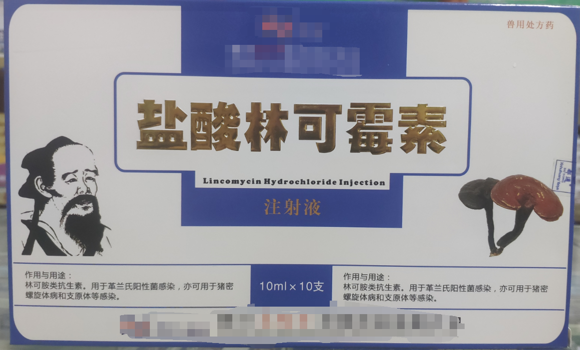 林可霉素注射液，用于革蘭氏陽性菌感染，亦可用于豬密螺旋體和支原體感染