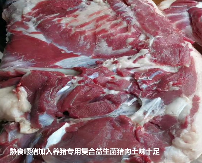 熟食喂豬加入養(yǎng)豬專用復(fù)合益生菌豬肉土味十足.jpg